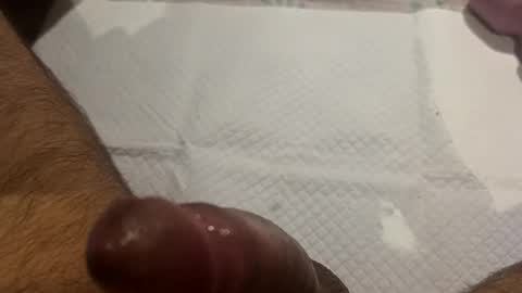 Snapshot of brenno95 chatting on February 21, 2026, 11:11 am brenno95 online show from February 21, 2026, 11:11 am