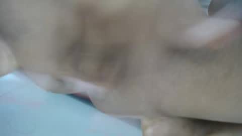 Snapshot of britny_hot111 chatting on December 28, 2024, 2:21 pm Britny hot111 online show from December 28, 2024, 2:21 pm