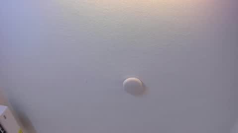 Brittany  online show from March 8, 2026, 7:39 pm