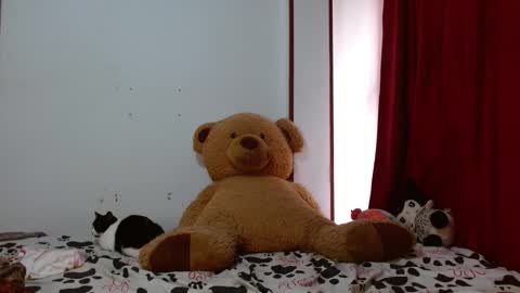 maru miaw   Please help me to reach 100 thumbs up online show from November 12, 2025, 3:01 pm