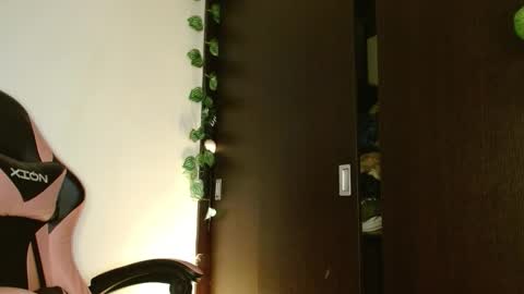 maru miaw   Please help me to reach 100 thumbs up online show from January 17, 2026, 5:23 am