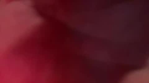 Brodt online show from October 21, 2025, 4:51 pm