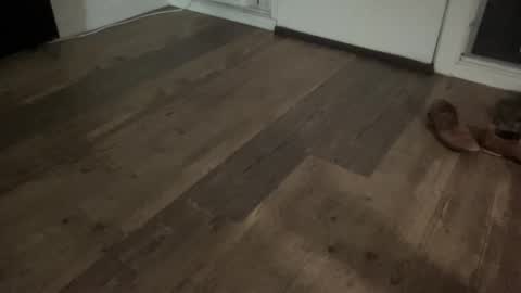 Broke Hung College Guy online show from February 13, 2026, 5:47 am