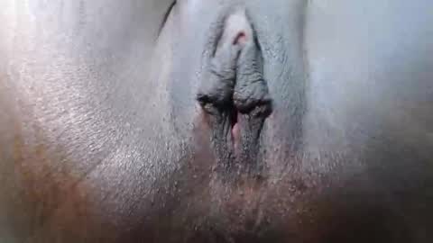 bujju456 online show from November 15, 2025, 6:00 am