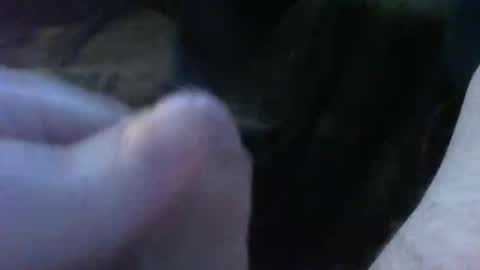 bullemoe online show from September 30, 2025, 5:23 am