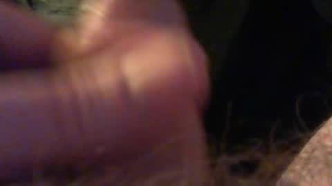 bullemoe online show from December 15, 2025, 9:52 pm