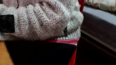 bullspain27266272 online show from February 5, 2025, 10:22 pm