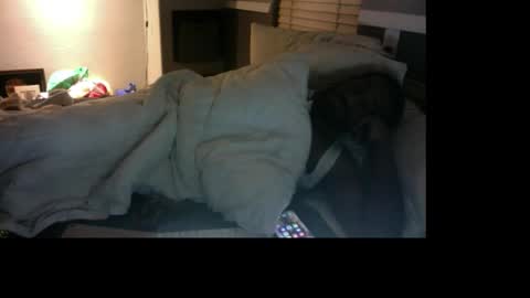 Bungalow Entertainment online show from December 17, 2025, 11:16 am