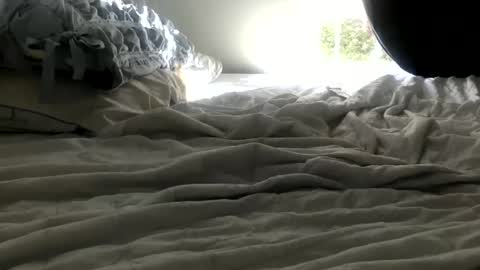 bunny286025 online show from February 11, 2025, 5:18 pm