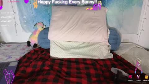 Tokki  bunny  online show from January 28, 2025, 2:00 am