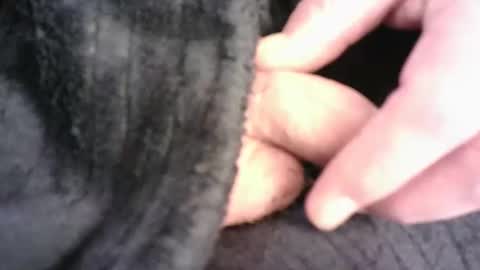 Snapshot of burnside13 chatting on March 16, 2026, 7:29 pm Hamish online show from March 16, 2026, 7:29 pm