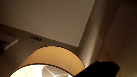 bushdoctor1 online show from December 2, 2024, 6:09 am