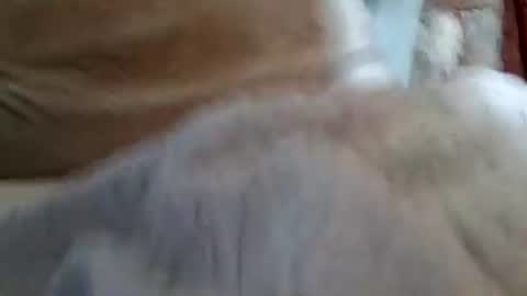 Snapshot of buster18hymen chatting on February 1, 2026, 10:08 pm Buster18Hymen online show from February 1, 2026, 10:08 pm