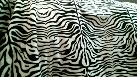 bustinfree online show from February 5, 2025, 3:31 pm