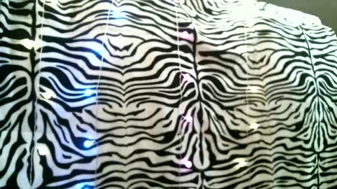 bustinfree online show from February 24, 2025, 3:42 pm