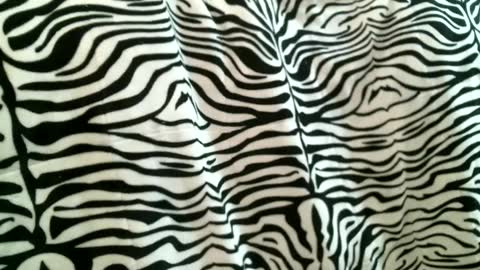 bustinfree online show from September 9, 2025, 5:56 pm