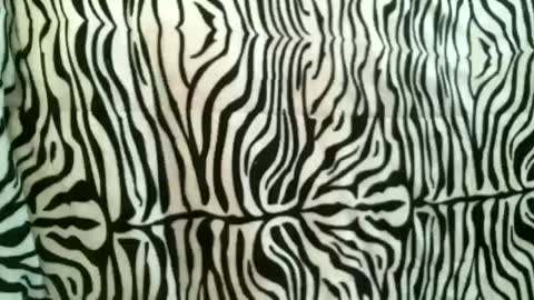 bustinfree online show from October 18, 2025, 12:39 pm