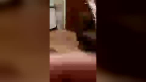 cachondo22fu online show from July 26, 2026, 2:42 am