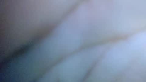 Snapshot of cactus_1041 chatting on June 15, 2026, 7:43 am Cactus1041 online show from June 15, 2026, 7:43 am