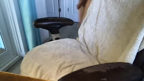 cals16 online show from March 18, 2026, 3:59 pm