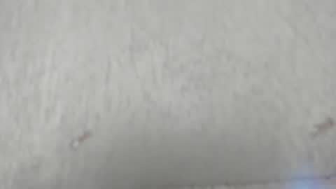 Snapshot of camilahunter__ chatting on June 10, 2026, 2:56 am Camila online show from June 10, 2026, 2:56 am