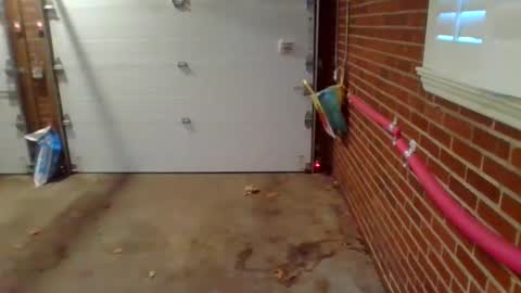 Snapshot of cammyman6900 chatting on December 9, 2024, 1:34 pm cammyman6900 online show from December 9, 2024, 1:34 pm