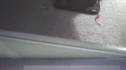 Snapshot of cammyman6900 chatting on September 11, 2025, 4:01 am cammyman6900 online show from September 11, 2025, 4:01 am