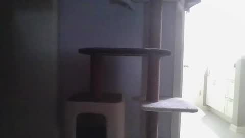 cammyman6900 online show from November 21, 2025, 4:22 am