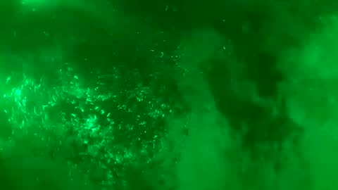 Daddy online show from January 18, 2025, 7:28 am