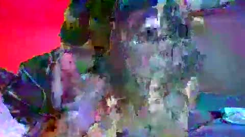 candy kyle online show from October 2, 2025, 10:28 pm