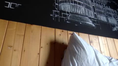 Snapshot of capt_oliver chatting on February 12, 2025, 5:15 am follow my twitter  online show from February 12, 2025, 5:15 am