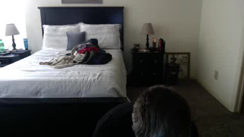 captmorgan30263 online show from February 26, 2025, 9:27 pm