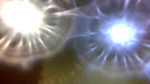 carlholmesjr20 online show from December 4, 2025, 11:02 pm