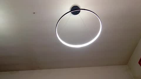 Carlos online show from February 16, 2025, 1:05 pm