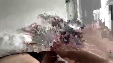 Snapshot of carnifex5 chatting on February 26, 2026, 5:34 pm carnifex5 online show from February 26, 2026, 5:34 pm