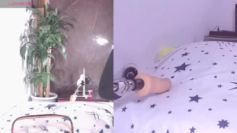 Carol online show from April 21, 2026, 11:38 am