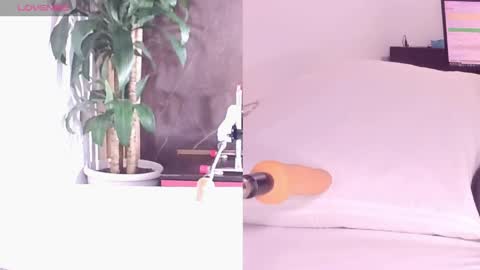 Carol online show from April 25, 2026, 11:13 am