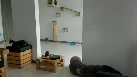 Cassandra online show from March 22, 2026, 11:57 am