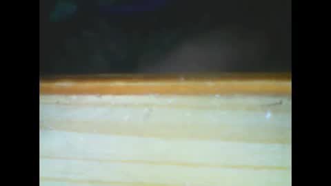 castells online show from December 15, 2025, 6:01 pm