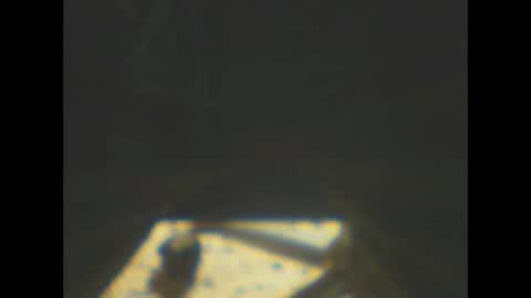 castells online show from January 8, 2026, 5:59 pm