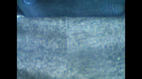 castells online show from January 18, 2026, 10:52 am