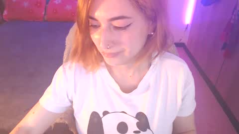 cat naughty online show from February 24, 2025, 5:09 pm