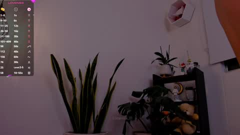 MACARENA online show from January 6, 2025, 11:52 pm