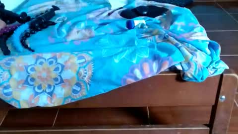 cataleya online show from January 6, 2026, 9:18 pm