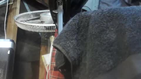 caughtnaked online show from April 1, 2026, 2:25 pm