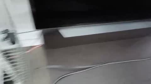 Snapshot of cbg65 chatting on February 4, 2026, 10:47 pm cbg65 online show from February 4, 2026, 10:47 pm