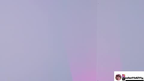 celestte_evans_1 online show from December 14, 2025, 3:01 am