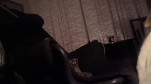 Snapshot of cfnmfriendly chatting on October 23, 2025, 4:06 pm cfnmfriendly online show from October 23, 2025, 4:06 pm