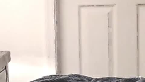 cfnmkinky28 online show from December 24, 2024, 3:05 am