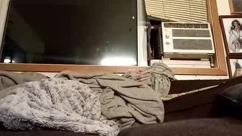 Snapshot of chad1980420 chatting on February 4, 2026, 3:23 am Chad420247 online show from February 4, 2026, 3:23 am